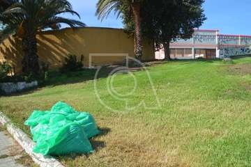 Intervención en la pradera pública de césped de Las Remudas (Foto TA)